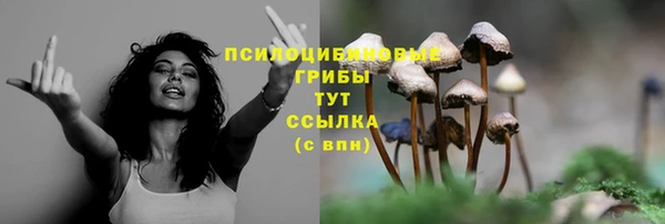 синтетический гашиш Баксан