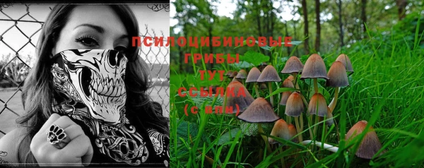синтетический гашиш Баксан