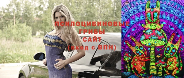 ПСИЛОЦИБИНОВЫЕ ГРИБЫ Балабаново